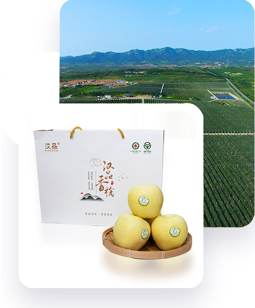 山東田又田生態農業有限公司
